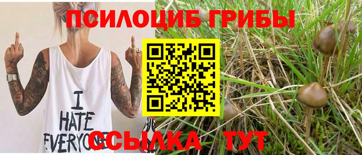 Галлюциногенные грибы MAGIC MUSHROOMS Тимашёвск