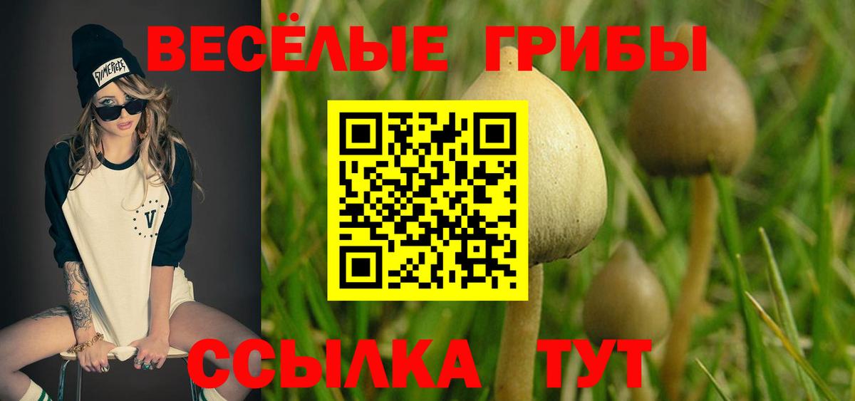Псилоцибиновые грибы Psilocybine cubensis  Вход с VPN  Галлюциногенные грибы Psilocybine cubensis  Тимашёвск 